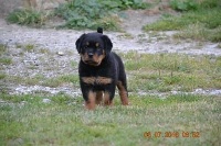   Mayka